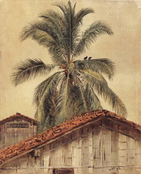Frederic E.Church Palm Tres and Housetops,Ecuador Germany oil painting art